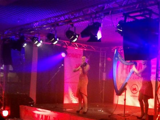 realizacja nag�o�nienia podczas imprezy firmowej